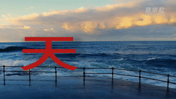 做一天同事｜凤梨专线、国际邮轮母港、跨境电商……来天津看看港城融合新生活