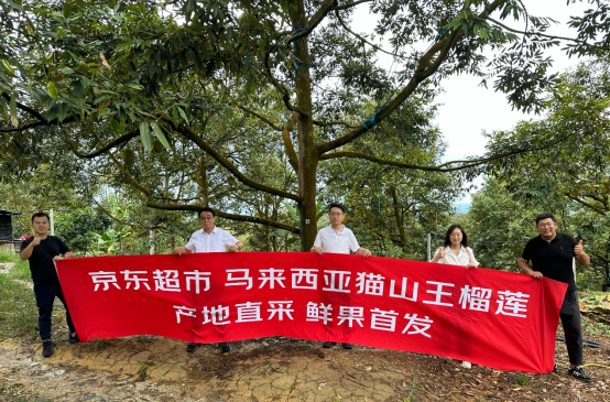 马来西亚鲜食榴莲首次获准进入中国  最早一批或9月到港