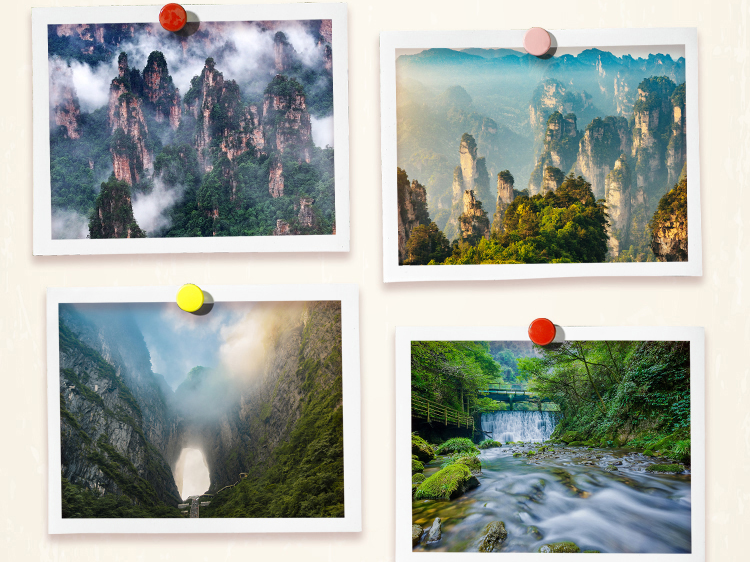 “city不city”火出圈，一起感受生动可爱的中国