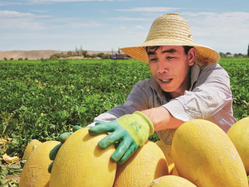这种以城市命名的水果，蕴藏了怎样的“甜蜜”？