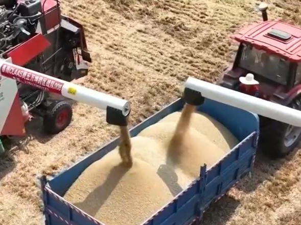 21.17万亿元、20.96亿人次……创新高！“火热”数据印证我国经济蓬勃活力