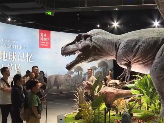 赏文物、看标本、学知识……暑期游“文化味”浓郁撬动消费新场景