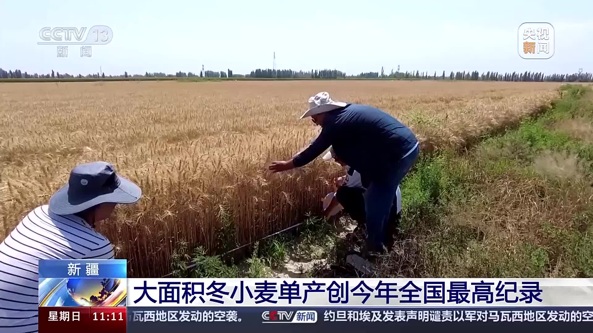 北京同仁医院、朝阳区黄牛票贩子号贩子代挂号的简单介绍