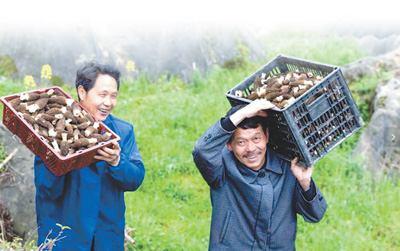 严控采购成本 保证重点支出（财经眼）