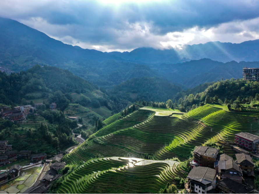 改革故事｜从农家乐到精品民宿