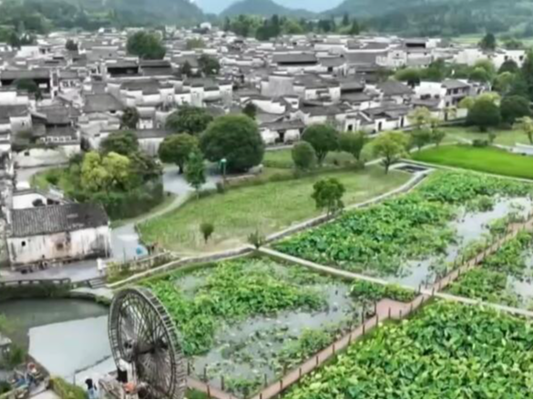 台湾民众赴陆旅游热情高涨 去大陆感受“诗意共远方”