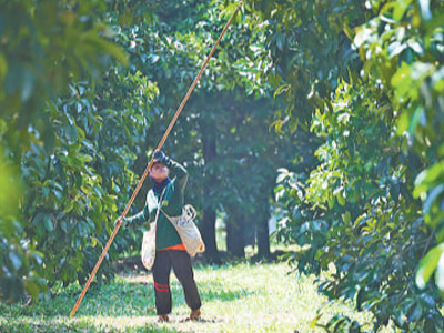 “巨大的中国市场为我们带来快速发展机遇”（见证·中国机遇）