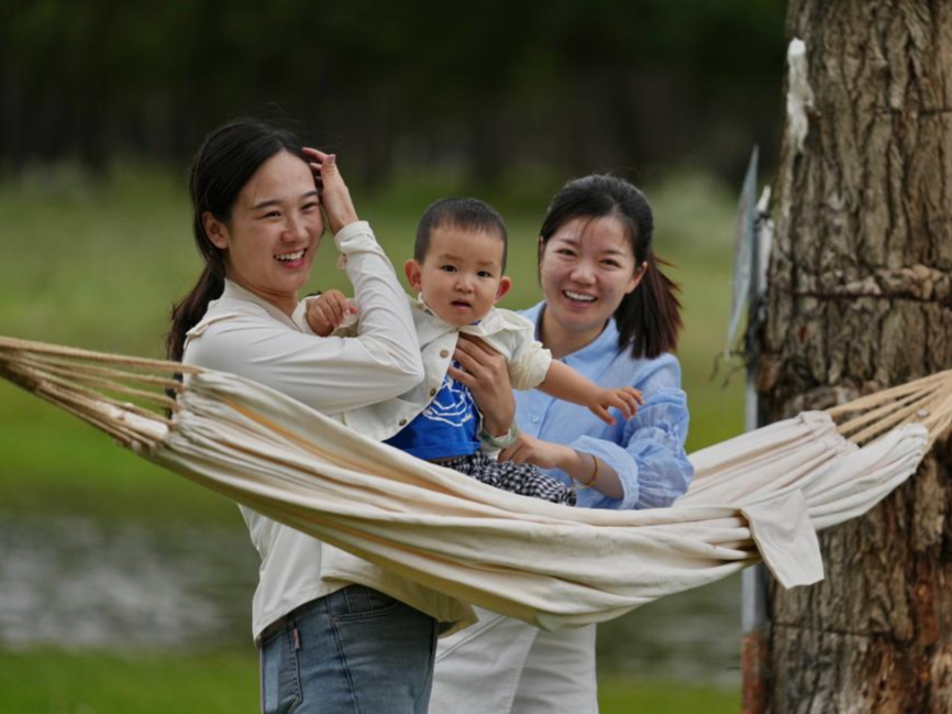 西藏林周县：“神秘树林”游客多