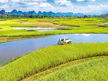 农机成主力，种田更省心