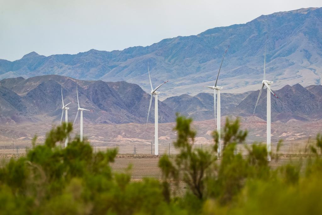 共话中国经济新机遇｜海外人士期待上合合作助力共同发展