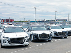 中哈经贸合作不断走深走实