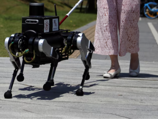 外媒：中国机器人导盲犬助力改善视障人士生活