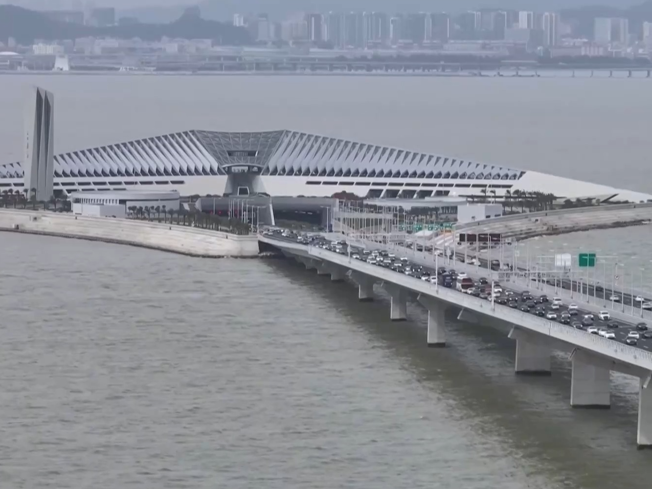 香港旅游市场持续升温 游客：印象深刻 体验感好