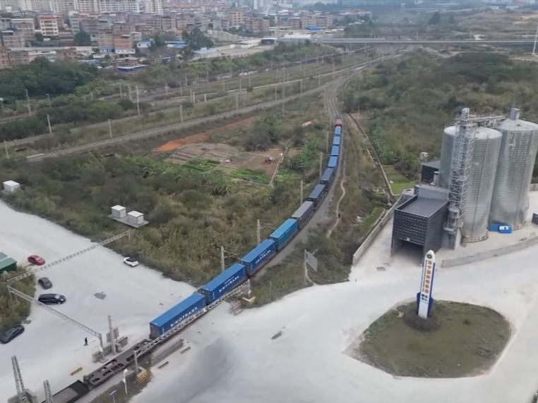 新华视点｜改革开放向“新”而行