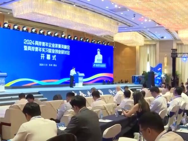 台湾青年企业家看好大陆经济发展前景：把握机遇、珍惜机遇