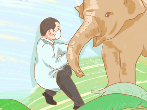 【中国少年说·可爱的中国】“大象医生”保明伟，守护“象”往的美好生活
