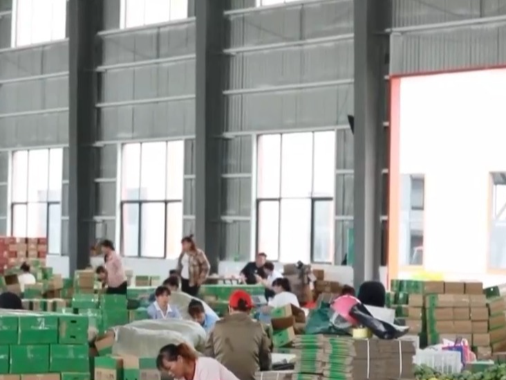 上半年我国批发和零售业增加值6.1万亿元