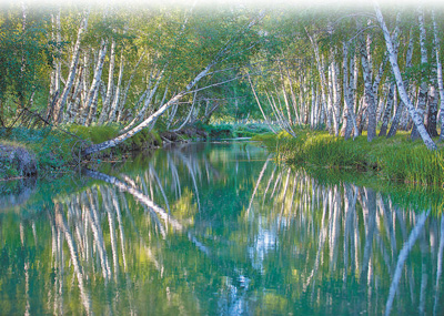 阿勒泰，牧歌声里看草原（以文塑旅 以旅彰文）