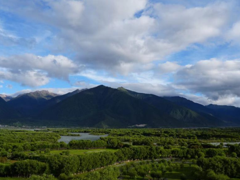 【我们的家园】雅尼国家湿地公园：亦“湿”亦画 绘就绿水青山新画卷