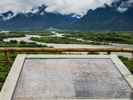 探访雅尼国家湿地公园：534种野生植物、234种野生动物分布于此