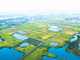智慧“芜湖大米”这样种成