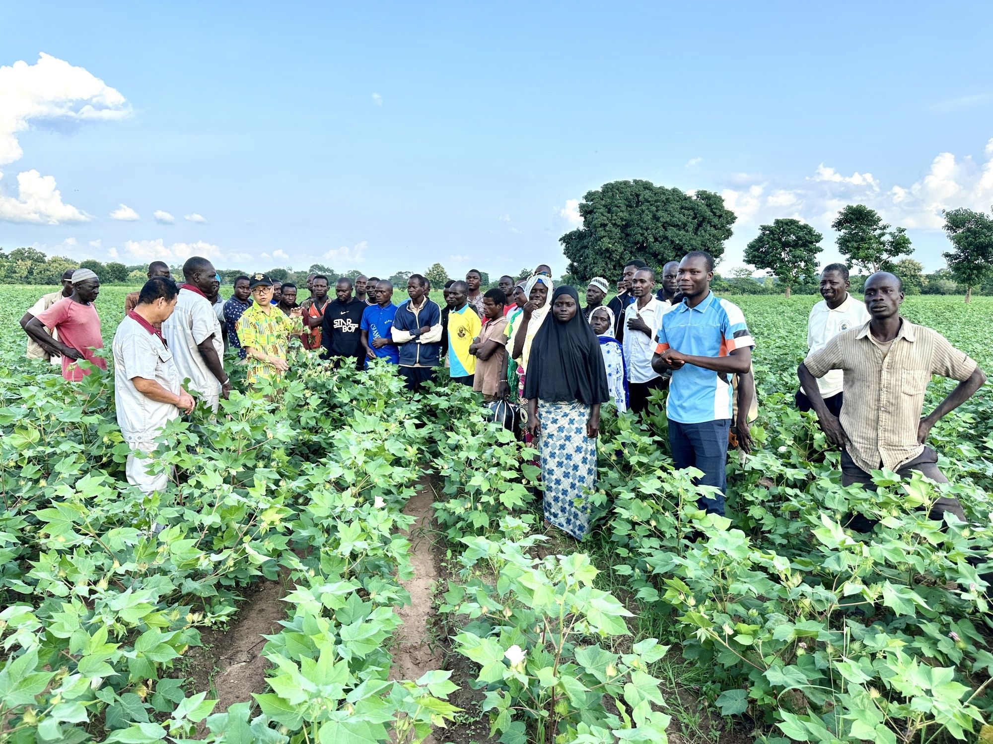 “中国专家的到来，让我们过上了想要的生活”