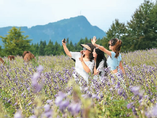 年轻人的出行新选择