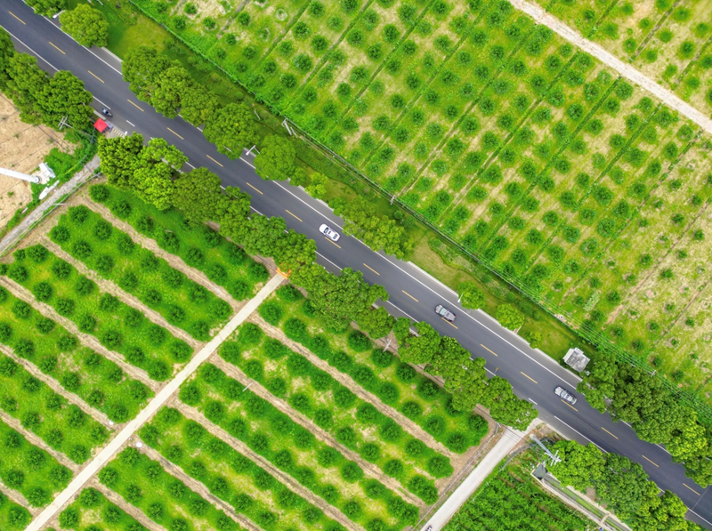 海外网评：“网红”农产品越来越多，农村电商成流量密码