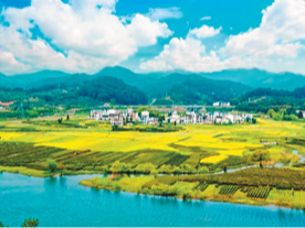 江西：护好生态 绿能澎湃