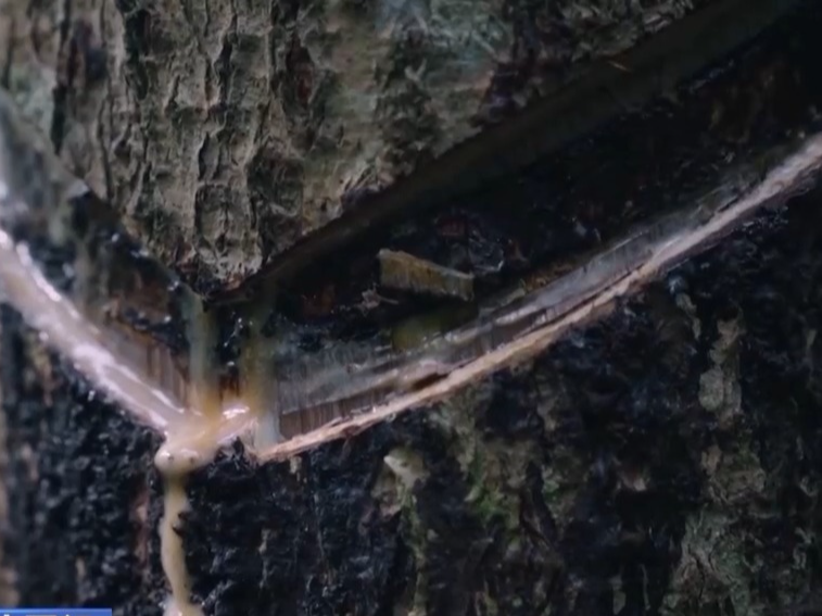 文化中国行丨古老的漆艺如何更好地融入现代生活？