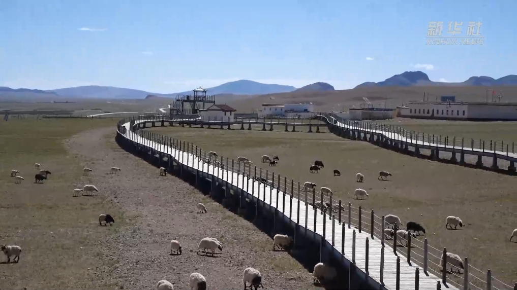 西藏第一大湖色林错进入旅游旺季