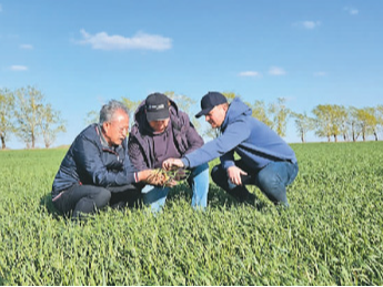 友谊的种子结出甘美果实（环球热点）