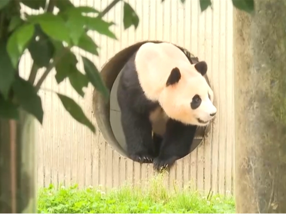 长线游、避暑游、亲子研学游、出入境游……“暑期游”热潮火爆来袭