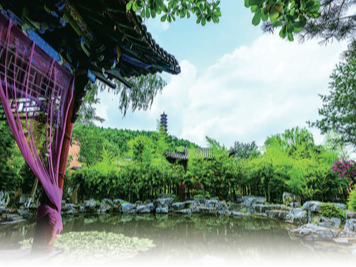 传承发展 古村焕新（外国友人镜头里的中国传统村落）