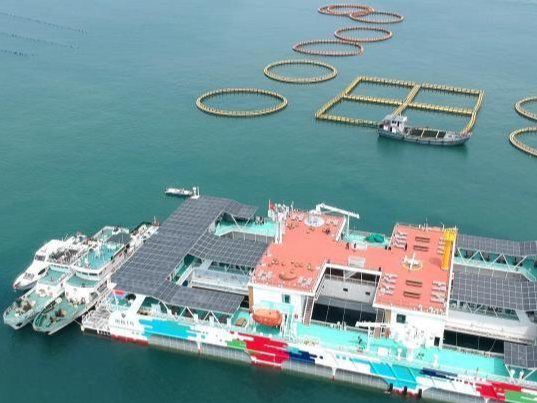 向海图强 福建绘就“掘金”深蓝新篇章