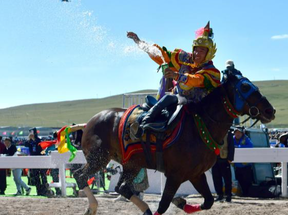 西藏那曲：羌塘草原载歌载舞迎草原盛会