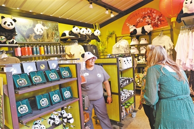 旅美大熊猫“云川”和“鑫宝”首次公开亮相