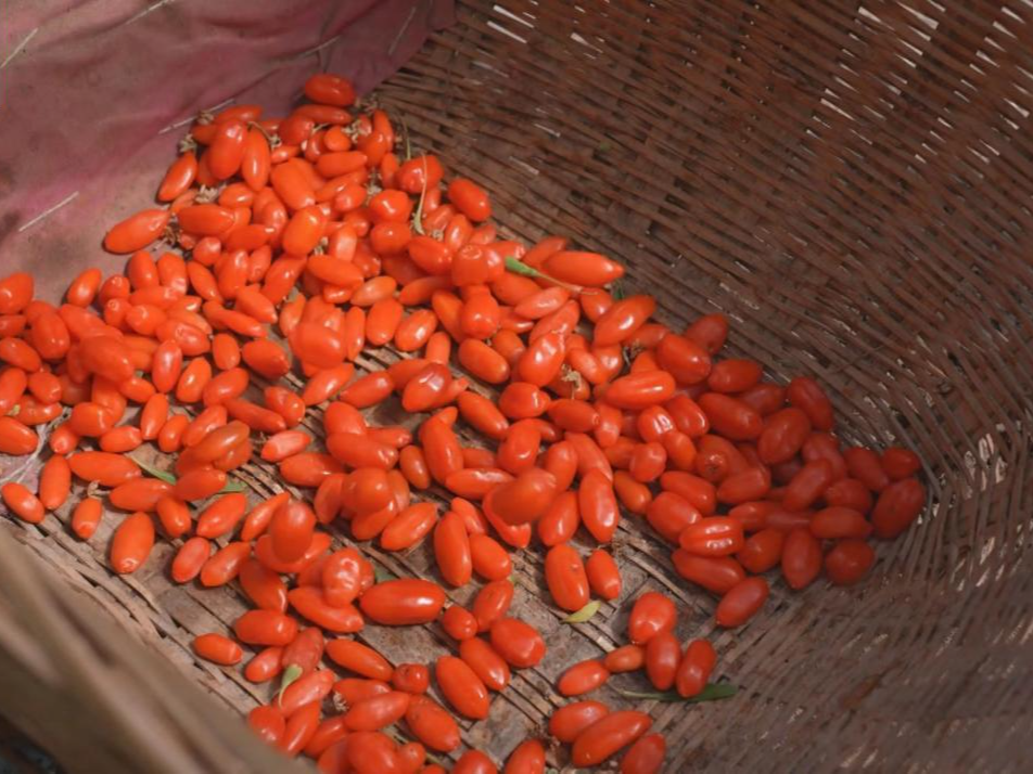 塞上江南写新篇丨“土特产”持续“翻新” 谱写民族团结发展新篇章