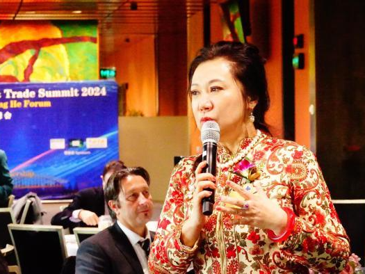 新加坡国际郑和学会：弘扬郑和精神 传播海丝文化