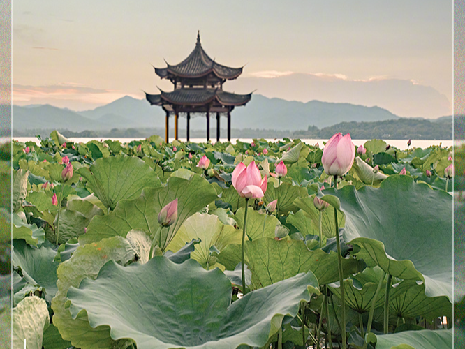 绝美同框！让人一眼心动的中式美学