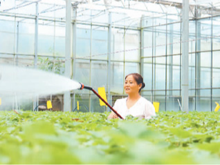 以高标准引领中医药“走出去”（大健康观察）