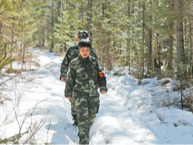 休养生息护林海 植绿兴绿十年间（深阅读）