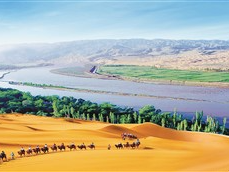 宁夏，这里的夏天好热闹