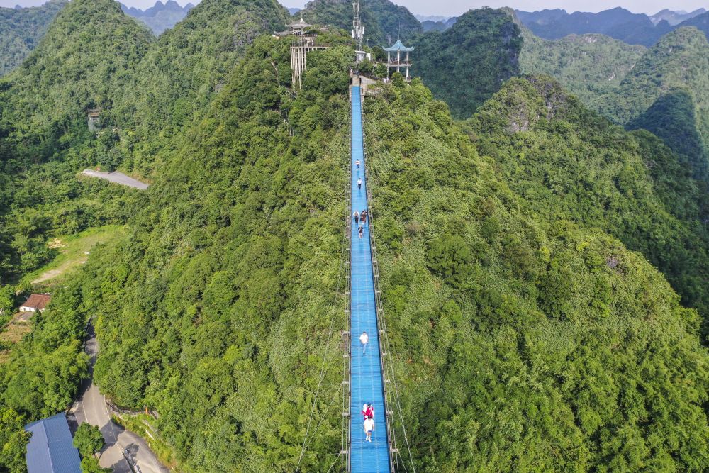 魅力山乡｜种一片绿，收获一片新希望