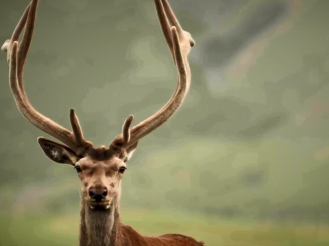 没想到，你是这样的超级工程！