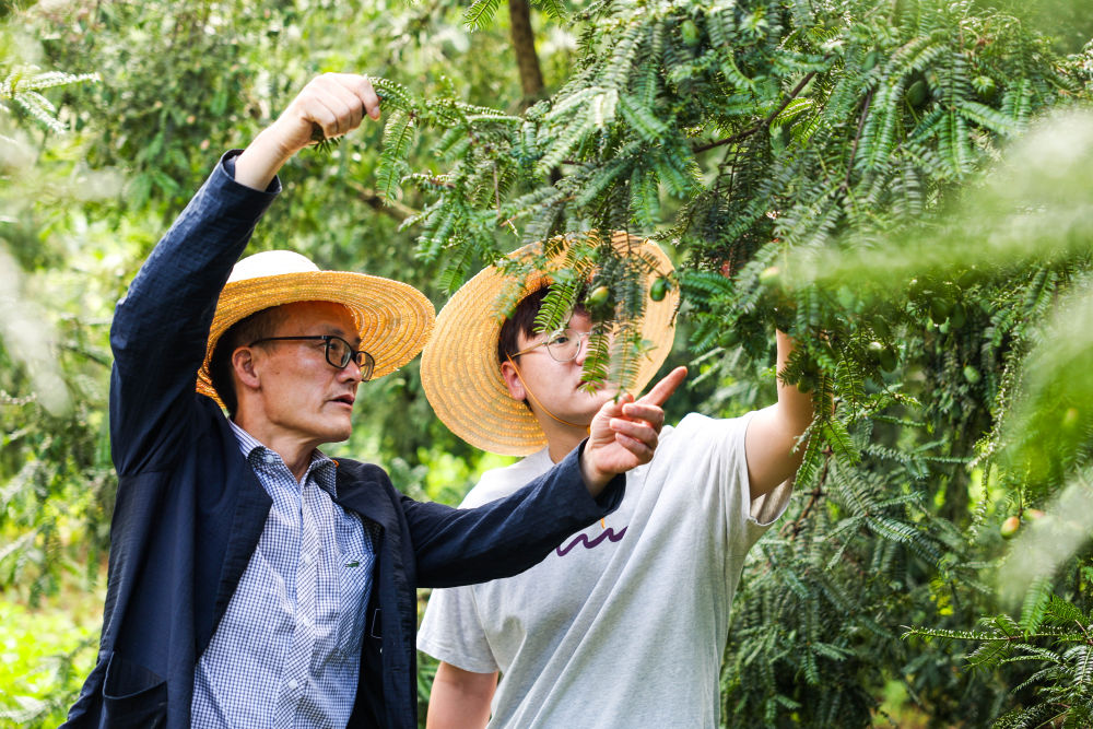 文化中国行·传统村落人文影像志｜花明泉村：会稽山麓揆文奋武的江南古村