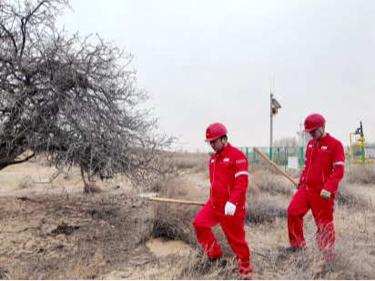 生物多样性保护的石油样本