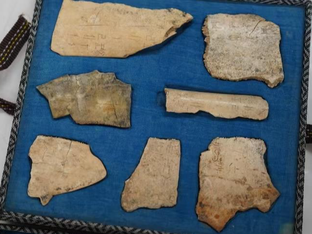 7片海外甲骨以数字化形式“归乡” 相关数据将与世界共享
