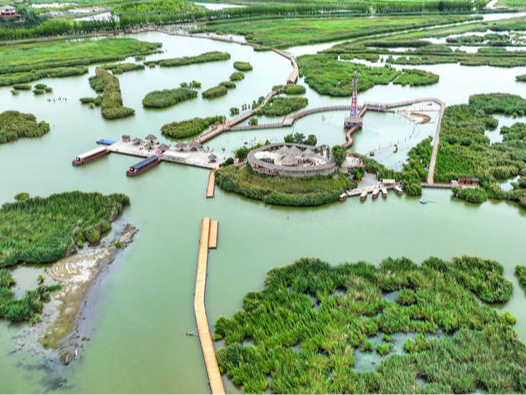 守护“一河三山” 让“塞上江南”越来越秀美