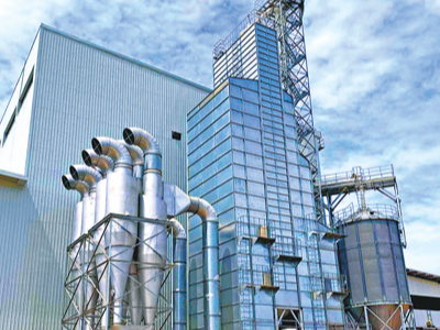 助力科特迪瓦可可产业加速发展（新时代中非合作）